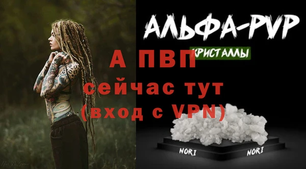 круглые Белокуриха
