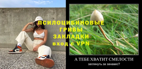PSILOCYBIN Белоозёрский