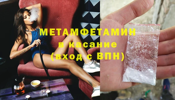 прущие грибы Балабаново