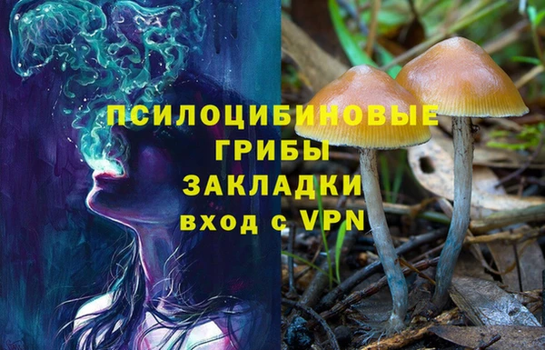 PSILOCYBIN Белоозёрский