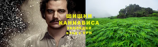 PSILOCYBIN Белоозёрский