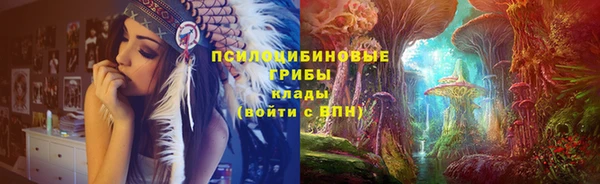 PSILOCYBIN Белоозёрский