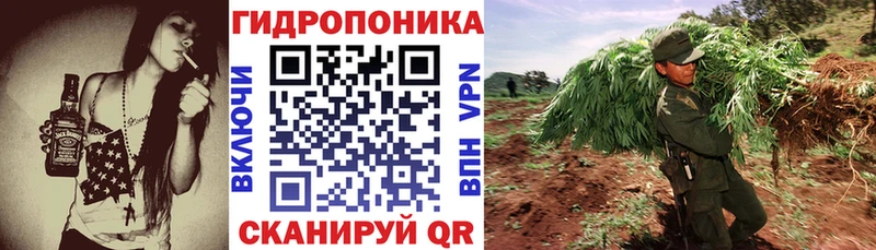 Марихуана THC 21%  Выборг 